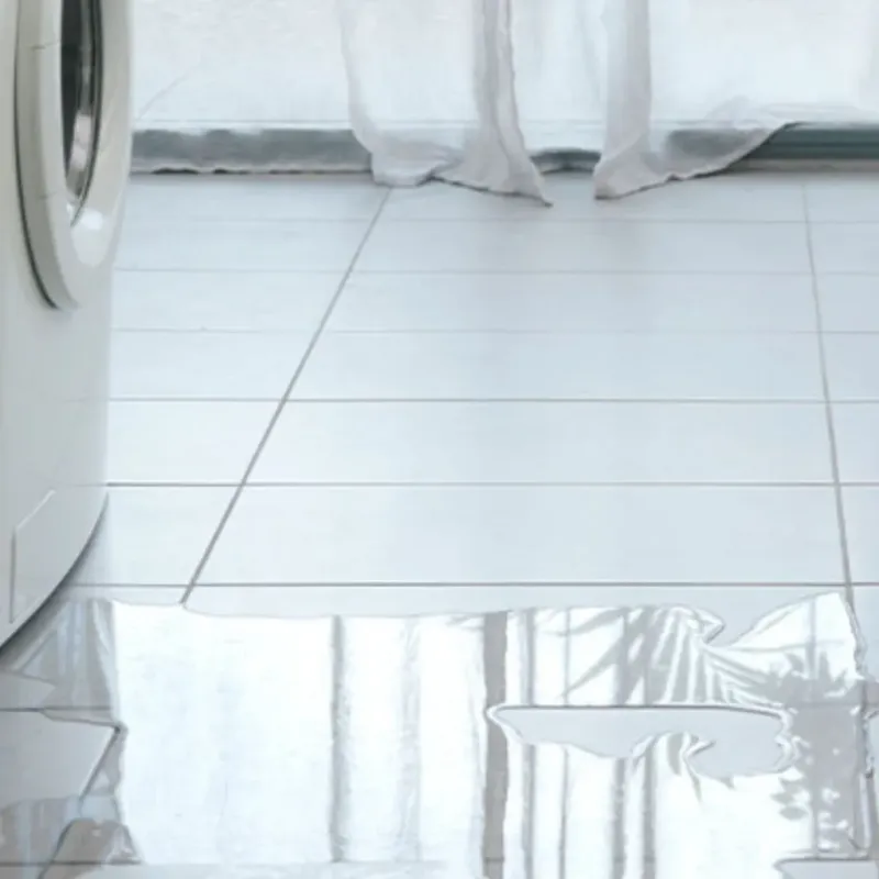Appliance Leak Cleanup in Spotsylvania County, VA
