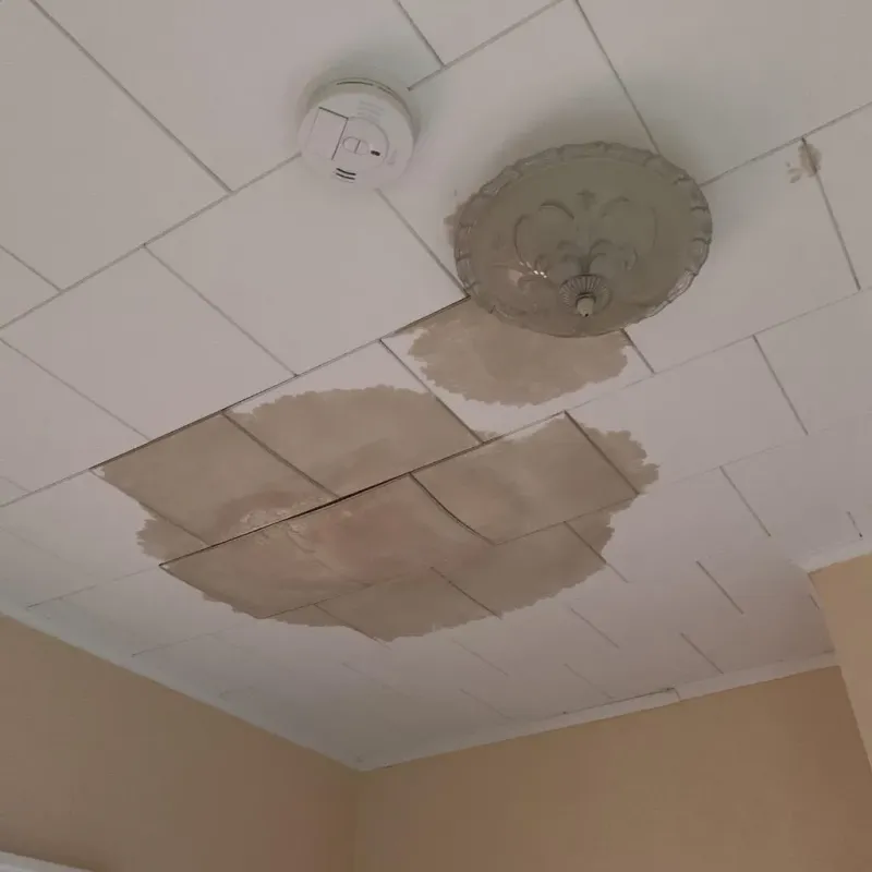 Ceiling Water Damage Repair in Spotsylvania County, VA