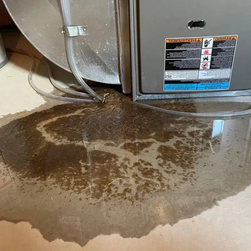 Pipe Burst and Leak Restoration in Spotsylvania County, VA