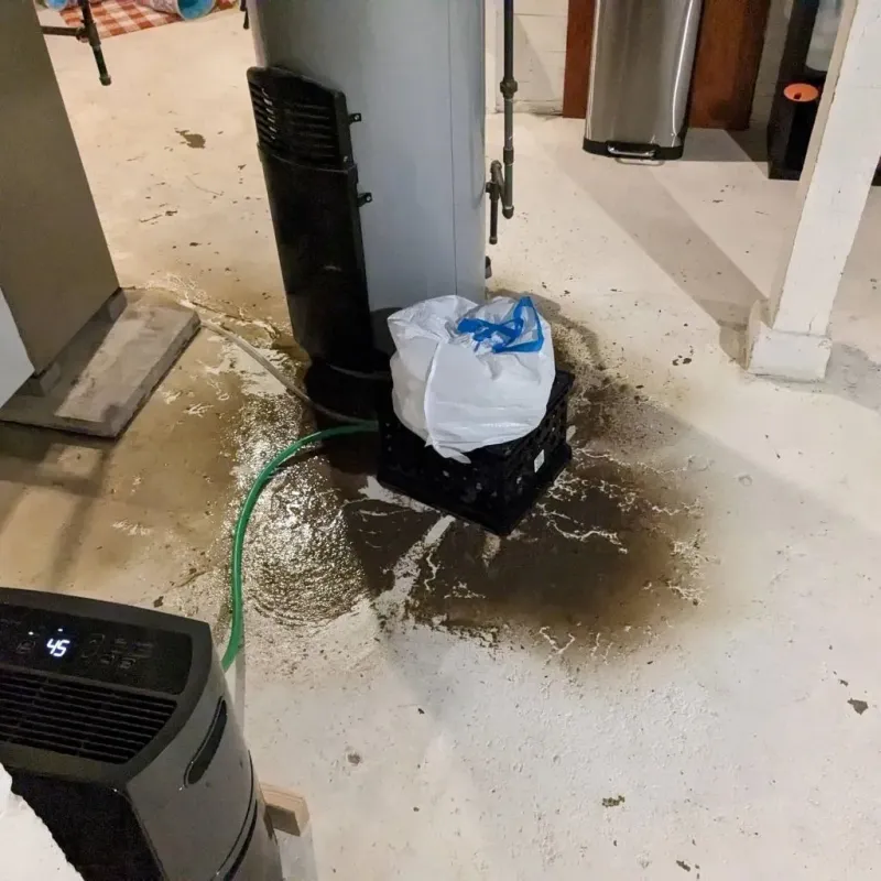 Sewage Backup Cleanup Service in Spotsylvania County, VA